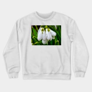 Snowdrops 1 Crewneck Sweatshirt